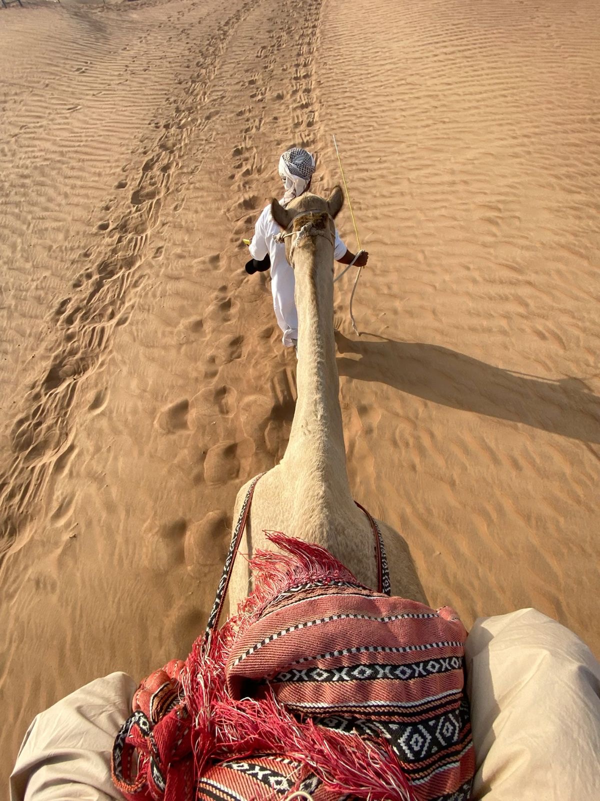 9 - Day Dubai & Fujairah Tour - Photo 2